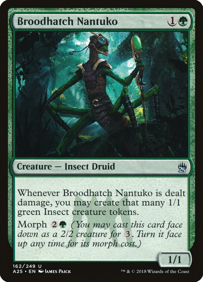 Broodhatch Nantuko 162 (Masters 25)  | Good Games Adelaide SA