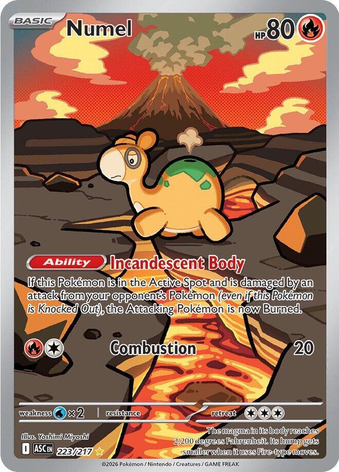Numel 223/217 (ME: Ascended Heroes)  - Holofoil | Good Games Adelaide SA