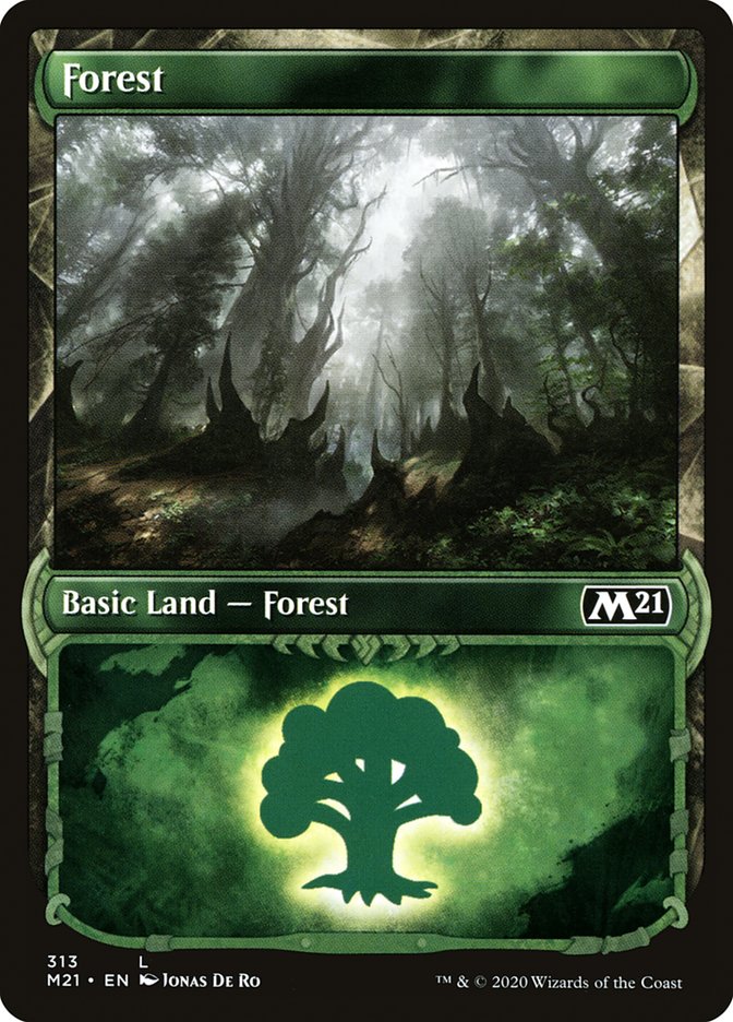 Forest 313 (Core Set 2021)  - Foil | Good Games Adelaide SA