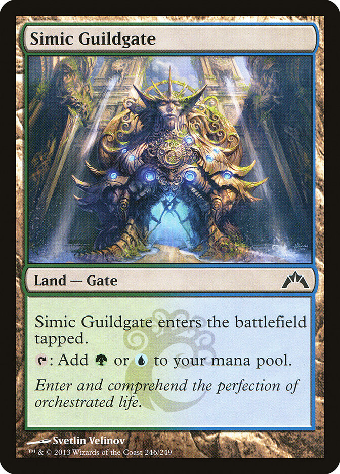 Simic Guildgate 246 (Gatecrash)  | Good Games Adelaide SA
