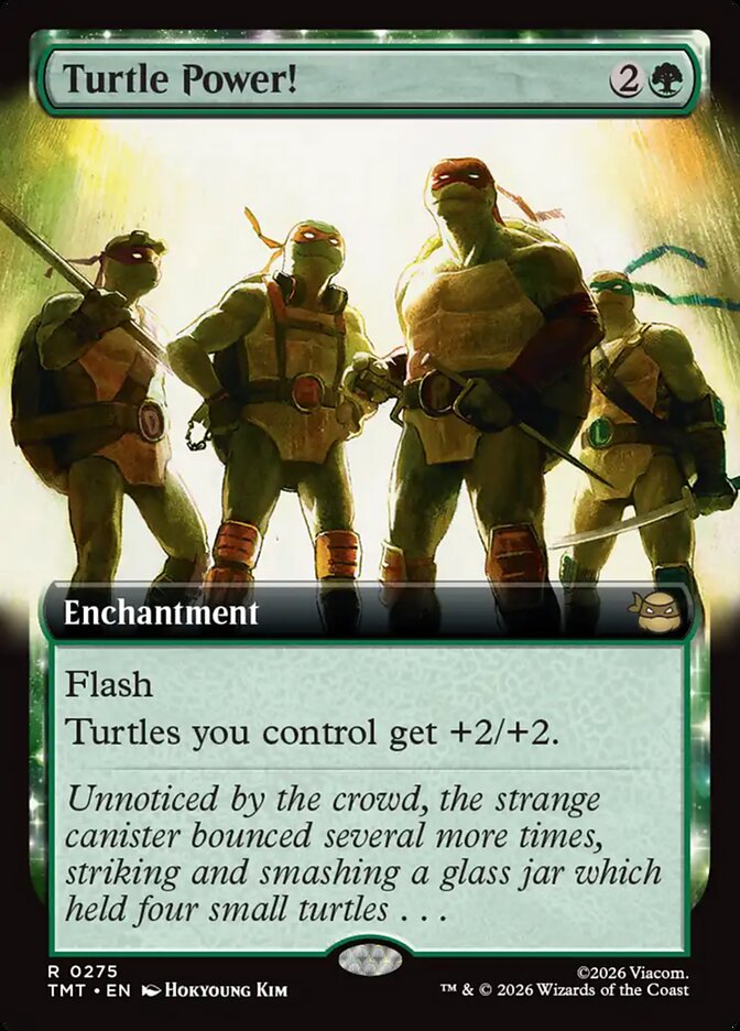 Turtle Power! 275/260 (Teenage Mutant Ninja Turtles)  - Extended Art Foil | Good Games Adelaide SA