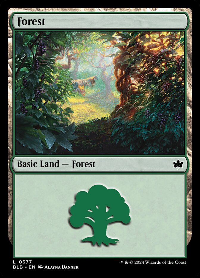 Forest 377 (Bloomburrow)  | Good Games Adelaide SA