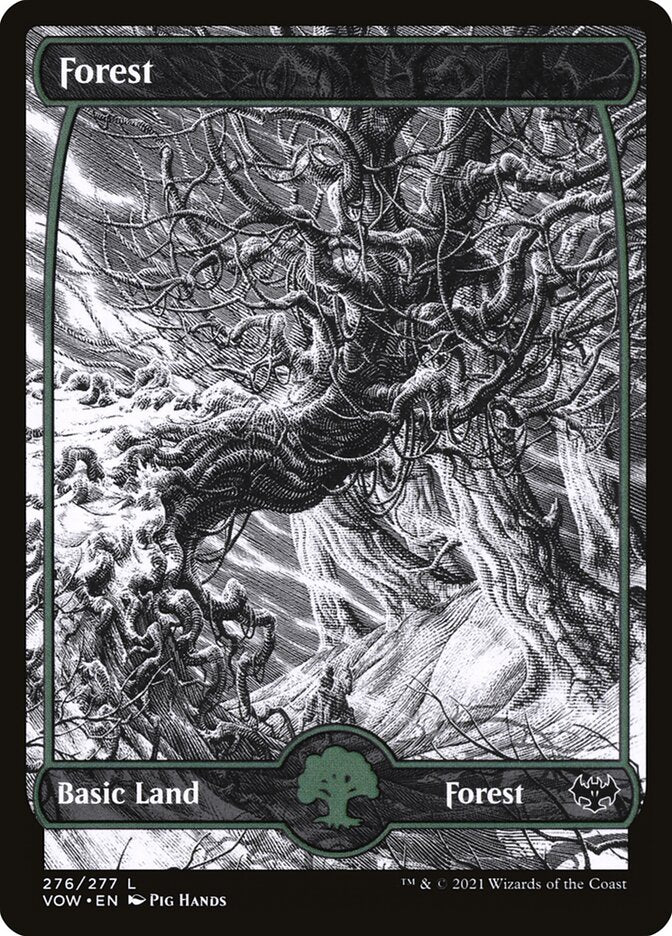 Forest 276 276 (Innistrad: Crimson Vow)  - Foil | Good Games Adelaide SA