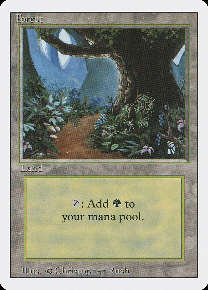 Forest B 286 (Revised Edition)  | Good Games Adelaide SA