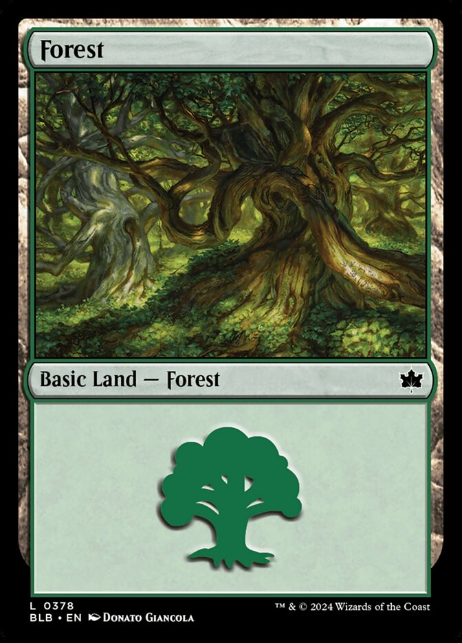 Forest 378 (Bloomburrow)  - Foil | Good Games Adelaide SA