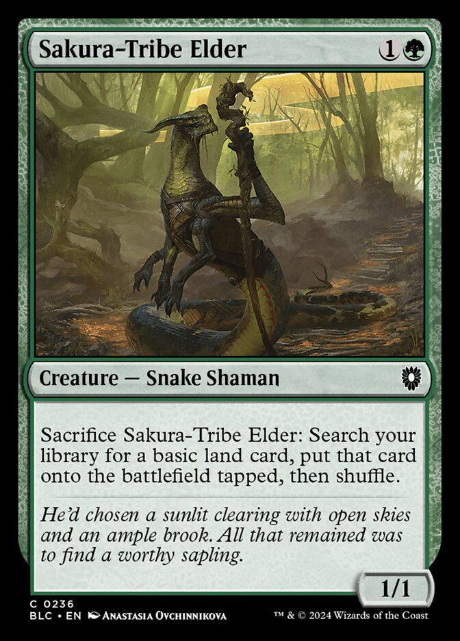 Sakura-Tribe Elder 236 (Commander: Bloomburrow)  | Good Games Adelaide SA
