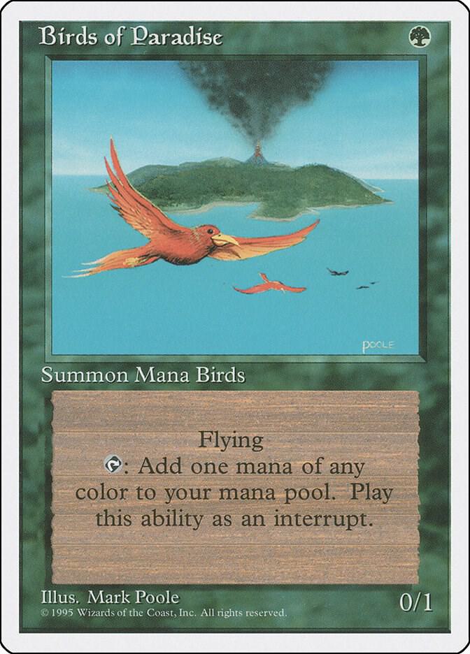 Birds of Paradise 118 (Fourth Edition)  | Good Games Adelaide SA