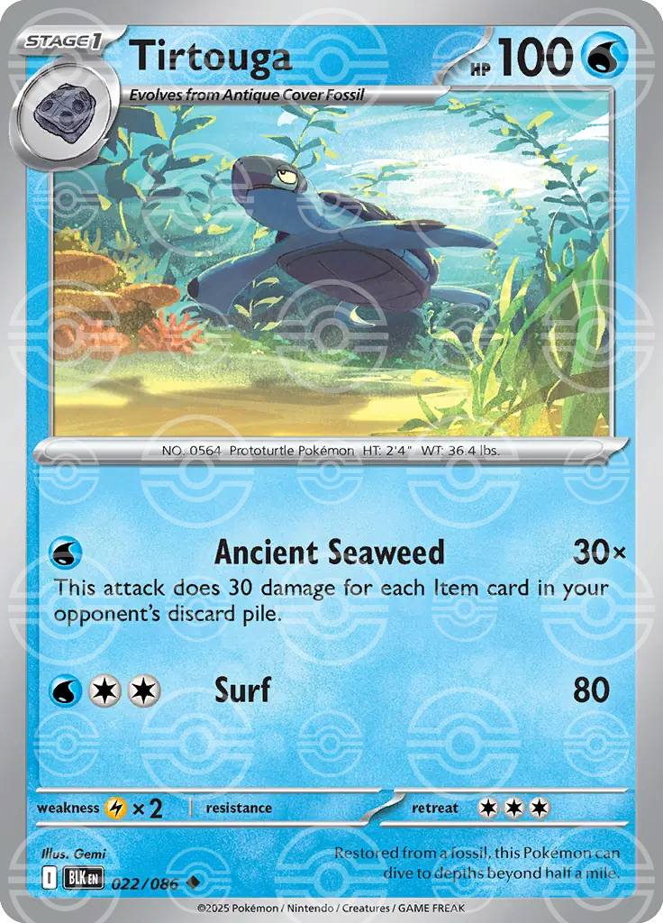 Tirtouga 022/086 (SV: Black Bolt)  - Holofoil | Good Games Adelaide SA