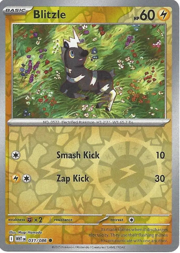 Blitzle 031/086 (SV: White Flare)  - Reverse Holofoil | Good Games Adelaide SA