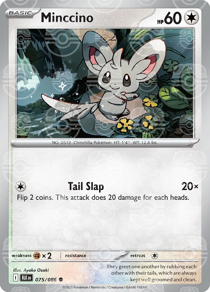 Minccino 075/086 (SV: Black Bolt)  - Holofoil | Good Games Adelaide SA