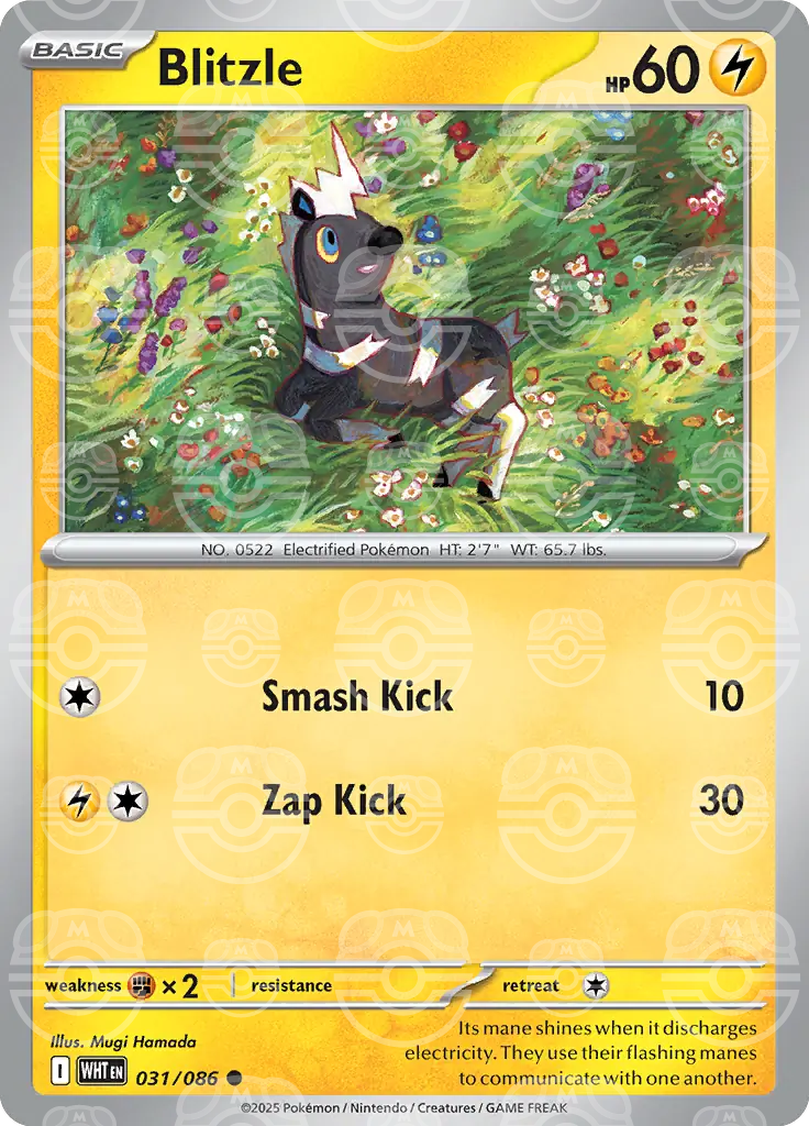 Blitzle 031/086 (SV: White Flare)  - Holofoil | Good Games Adelaide SA