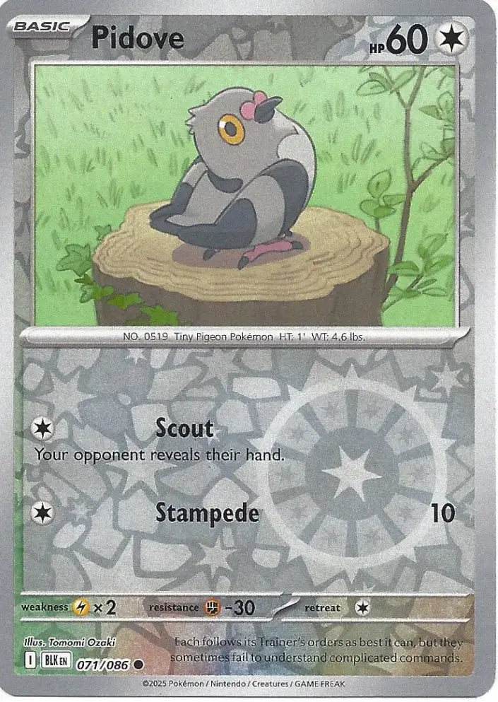 Pidove 071/086 (SV: Black Bolt)  - Reverse Holofoil | Good Games Adelaide SA