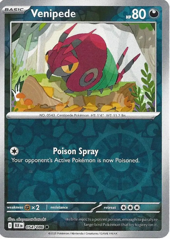 Venipede 054/086 (SV: Black Bolt)  - Reverse Holofoil | Good Games Adelaide SA