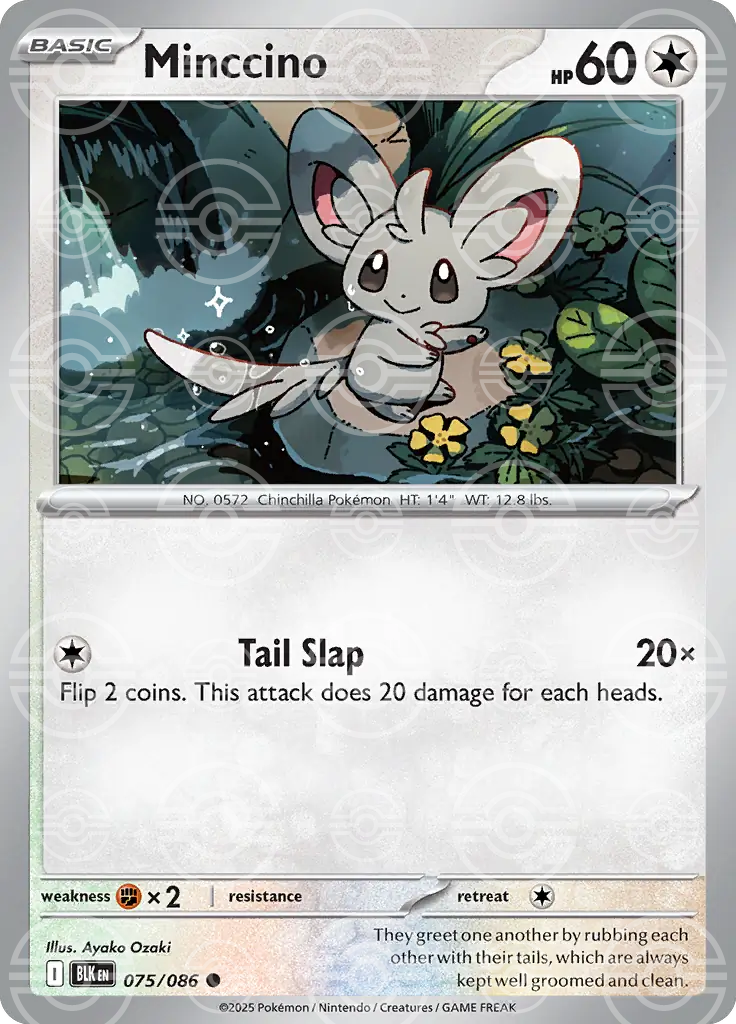 Minccino 075/086 (SV: Black Bolt)  - Holofoil | Good Games Adelaide SA
