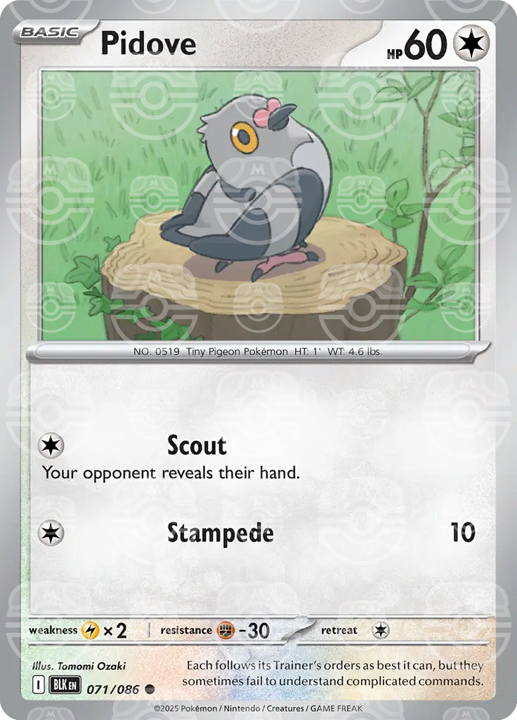 Pidove 071/086 (SV: Black Bolt)  - Holofoil | Good Games Adelaide SA