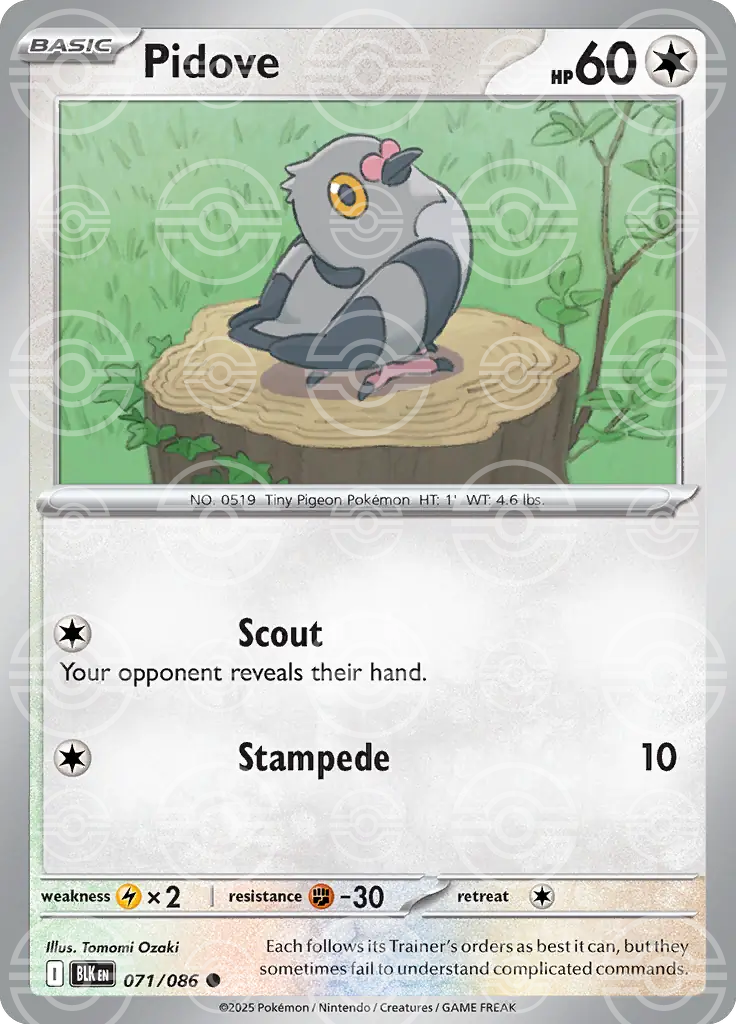 Pidove 071/086 (SV: Black Bolt)  - Holofoil | Good Games Adelaide SA