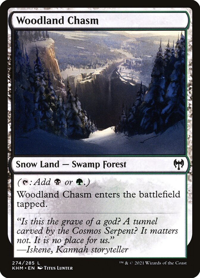 Woodland Chasm 274 (Kaldheim)  - Foil | Good Games Adelaide SA
