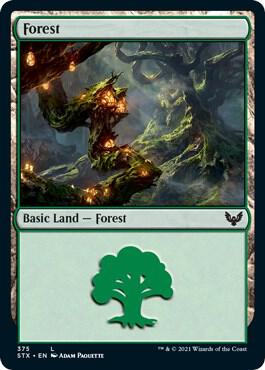 Forest 375 375 (Strixhaven: School of Mages)  - Foil | Good Games Adelaide SA