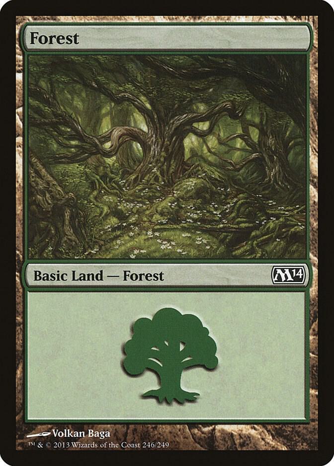 Forest 246 (Magic 2014 (M14))  - Foil | Good Games Adelaide SA