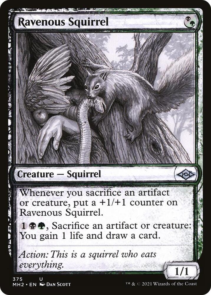 Ravenous Squirrel Showcase 375 (Modern Horizons 2)  - Foil | Good Games Adelaide SA