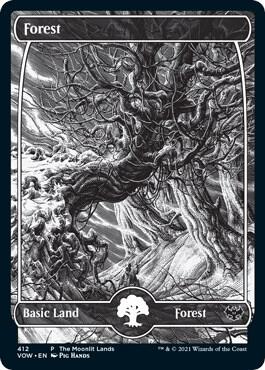 Forest Moonlit Land Foil Etched 412 (WPN & Gateway Promos)  - Foil | Good Games Adelaide SA