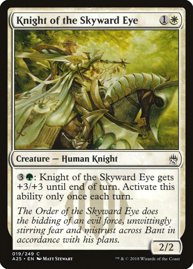 Knight of the Skyward Eye 19 (Masters 25)  | Good Games Adelaide SA