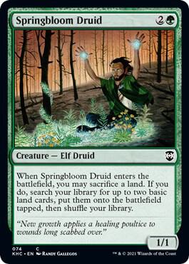 Springbloom Druid 74 (Commander: Kaldheim)  | Good Games Adelaide SA