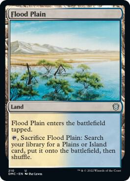 Flood Plain 210 (Commander: Dominaria United)  | Good Games Adelaide SA