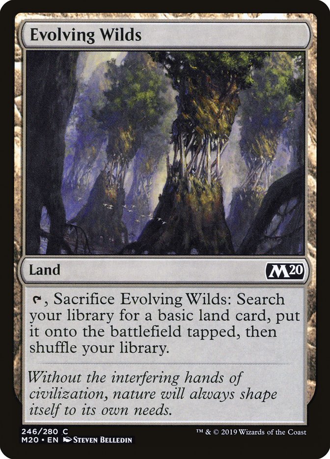 Evolving Wilds [Core Set 2020] | Good Games Adelaide SA