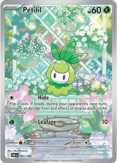 Petilil 091/086 (SV: Black Bolt)  - Holofoil | Good Games Adelaide SA