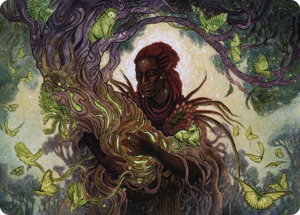 Circle of Dreams Druid Art Card 66 (Art Series: Adventures in the Forgotten Realms)  | Good Games Adelaide SA