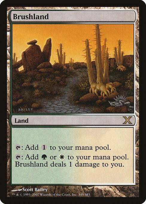 Brushland 349 (10th Edition)  - Foil | Good Games Adelaide SA