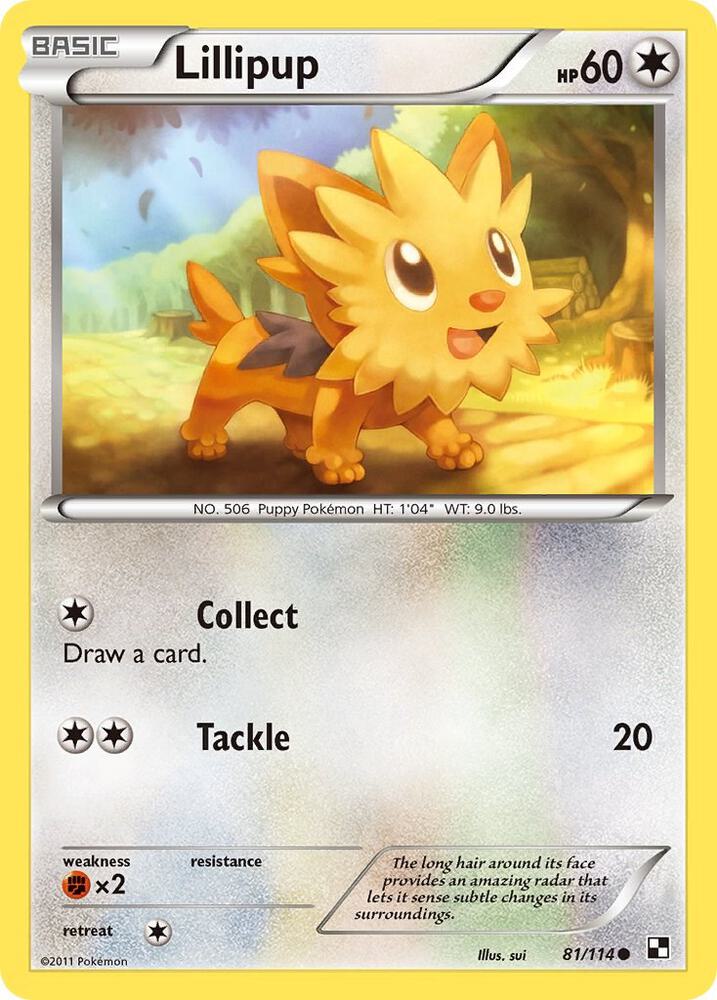 Lillipup 81/114 (Black and White)  | Good Games Adelaide SA