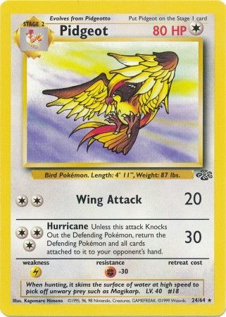 Pidgeot (24/64) [Jungle Unlimited] | Good Games Adelaide SA