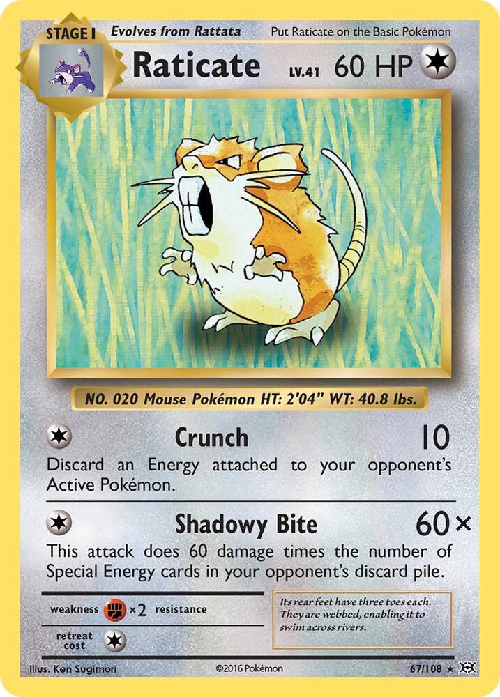 Raticate 67/108 (XY - Evolutions)  | Good Games Adelaide SA