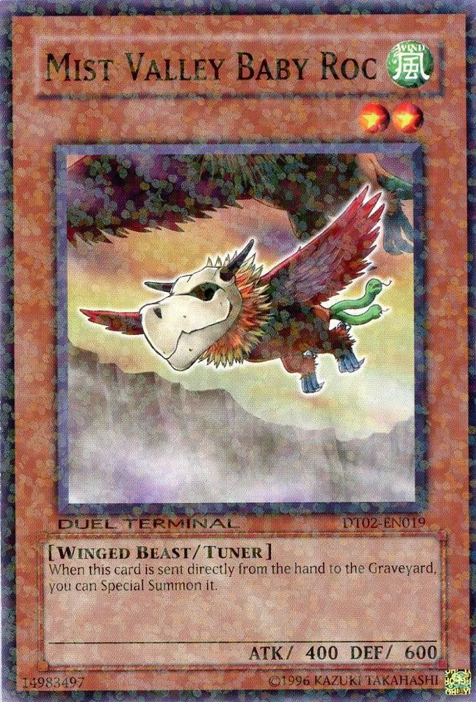 Mist Valley Baby Roc [DT02-EN019] Common | Good Games Adelaide SA