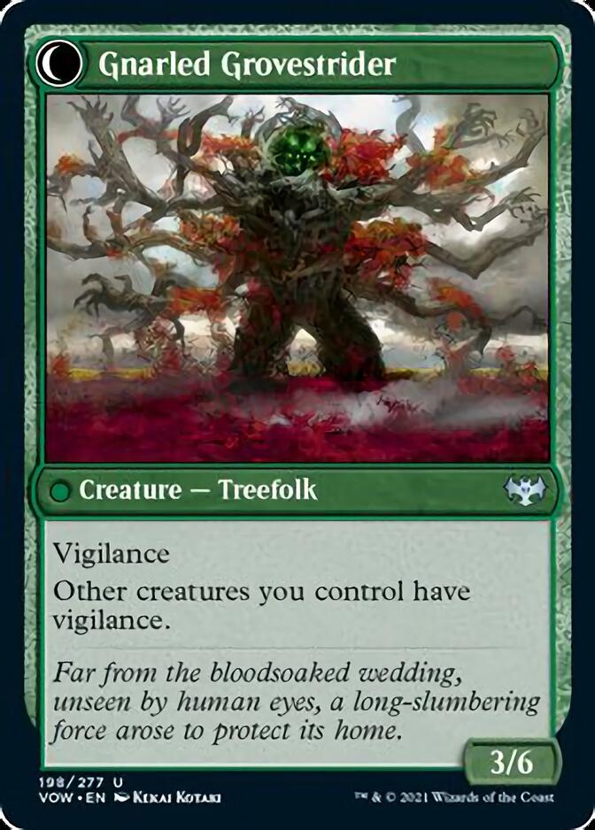 Dormant Grove // Gnarled Grovestrider [Innistrad: Crimson Vow] | Good Games Adelaide SA