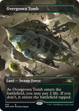 Overgrown Tomb Borderless Galaxy Foil 535 (Unfinity)  - Foil | Good Games Adelaide SA