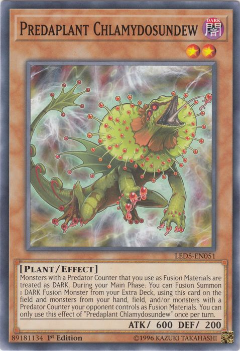 Predaplant Chlamydosundew [LED5-EN051] Common | Good Games Adelaide SA