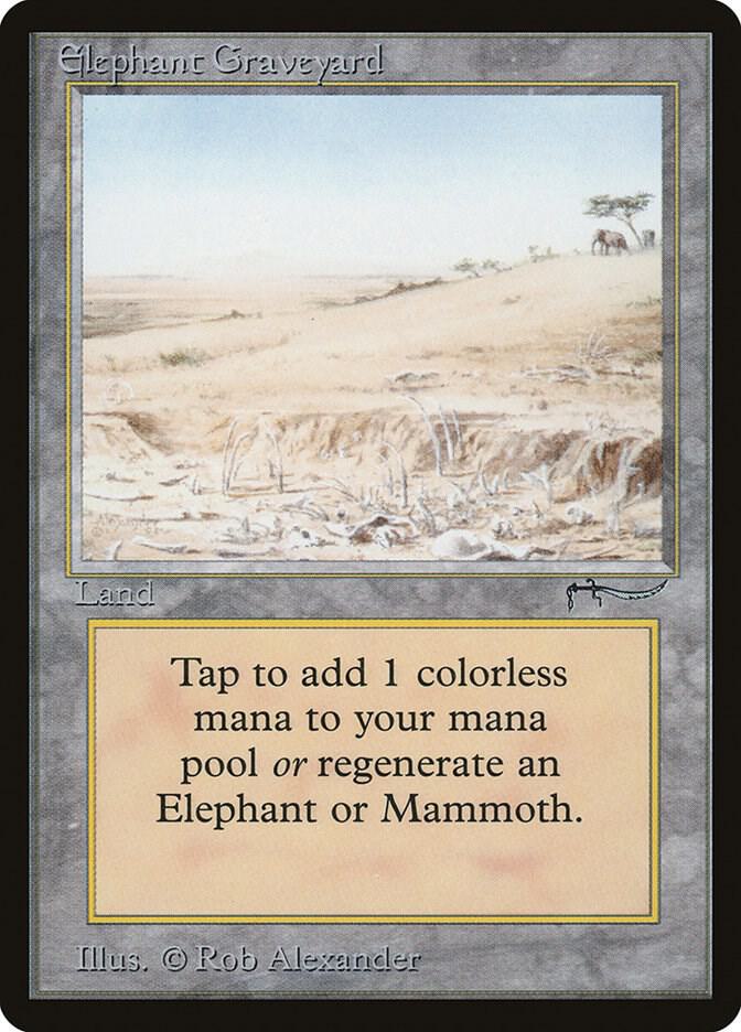 Elephant Graveyard  (Arabian Nights)  | Good Games Adelaide SA