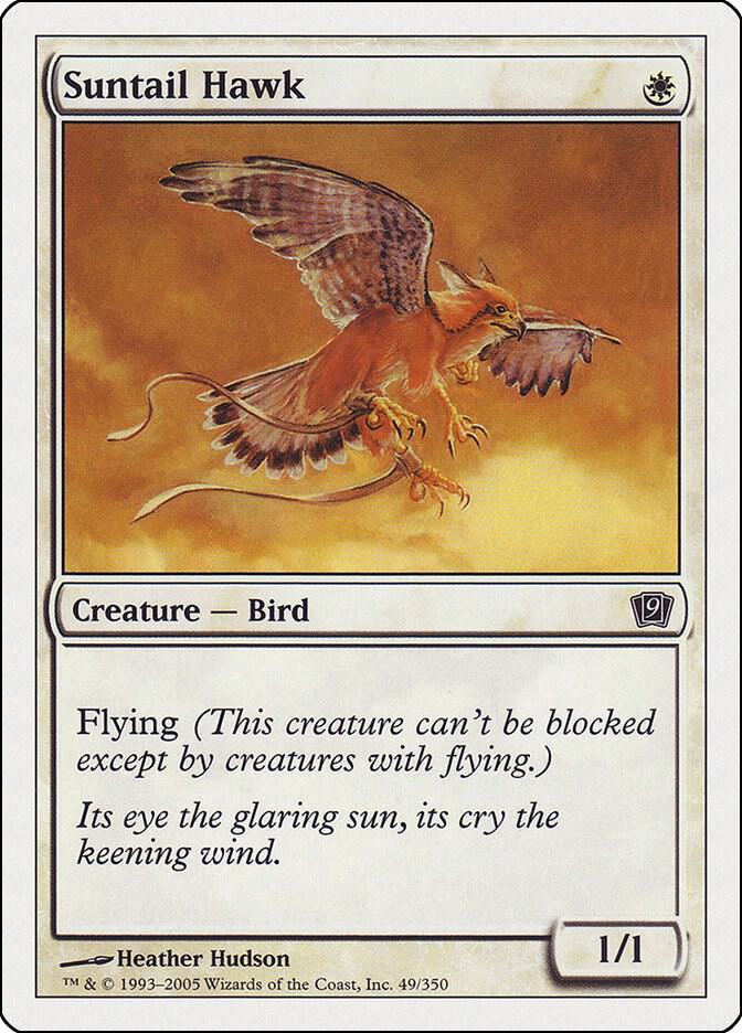 Suntail Hawk 49 (9th Edition)  | Good Games Adelaide SA