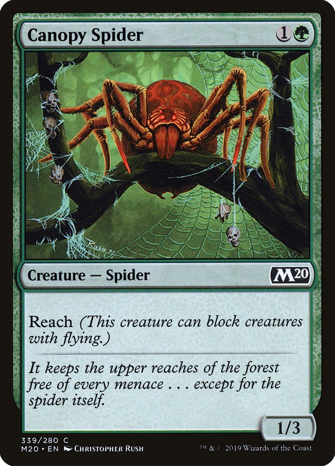 Canopy Spider [Core Set 2020] | Good Games Adelaide SA