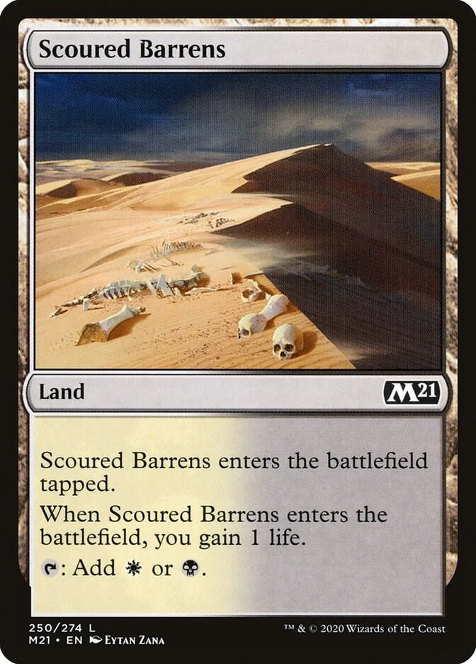 Scoured Barrens 250 (Core Set 2021)  - Foil | Good Games Adelaide SA