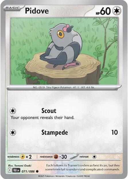 Pidove 071/086 (SV: Black Bolt)  | Good Games Adelaide SA