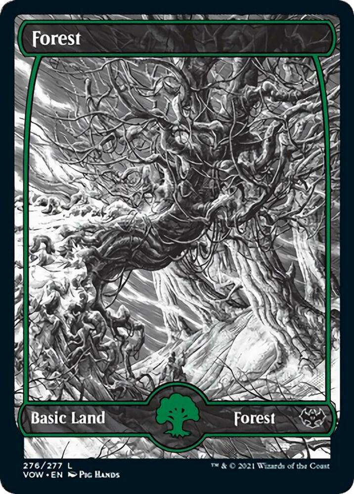 Forest 276 276 (Innistrad: Crimson Vow)  | Good Games Adelaide SA