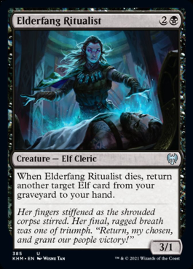Elderfang Ritualist [Kaldheim] | Good Games Adelaide SA