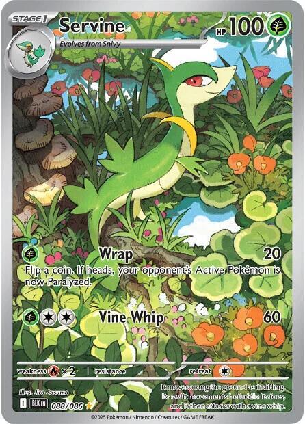 Servine 088/086 (SV: Black Bolt)  - Holofoil | Good Games Adelaide SA