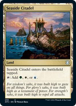 Seaside Citadel 258 (Commander: Adventures in the Forgotten Realms)  | Good Games Adelaide SA