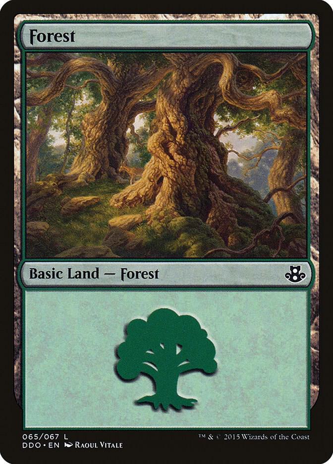 Forest 065 65 (Duel Decks: Elspeth vs. Kiora)  | Good Games Adelaide SA