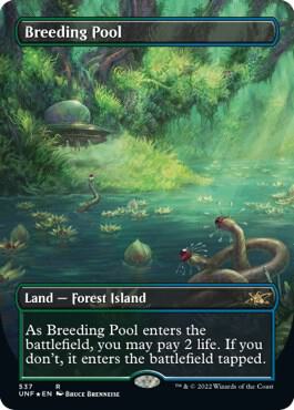 Breeding Pool Borderless Galaxy Foil 537 (Unfinity)  - Foil | Good Games Adelaide SA